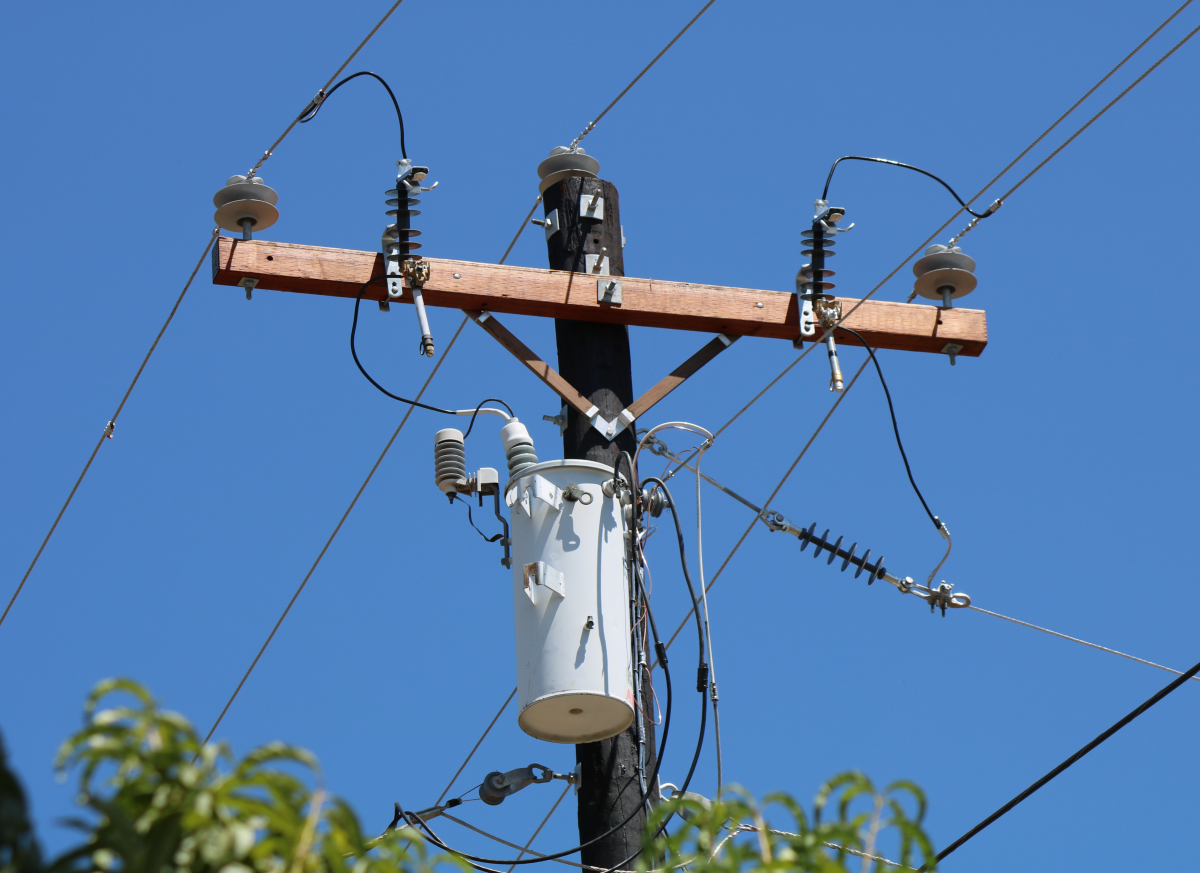 Dove Season Safety: Protect Yourself and Utility Equipment