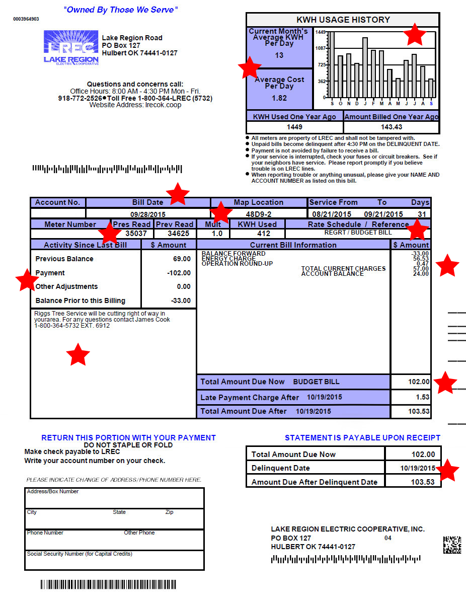 how to read bill lake region electric cooperative