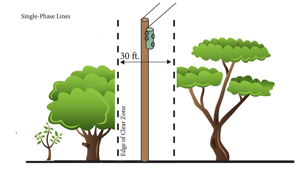 A graphic indicating that Single-Phase Lines need 30 feet of Clear Zone.