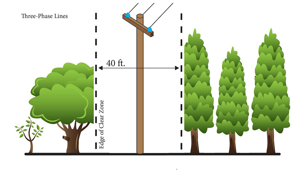 A graphic indicating that Three-Phase Lines need 40 feet of Clear Zone.